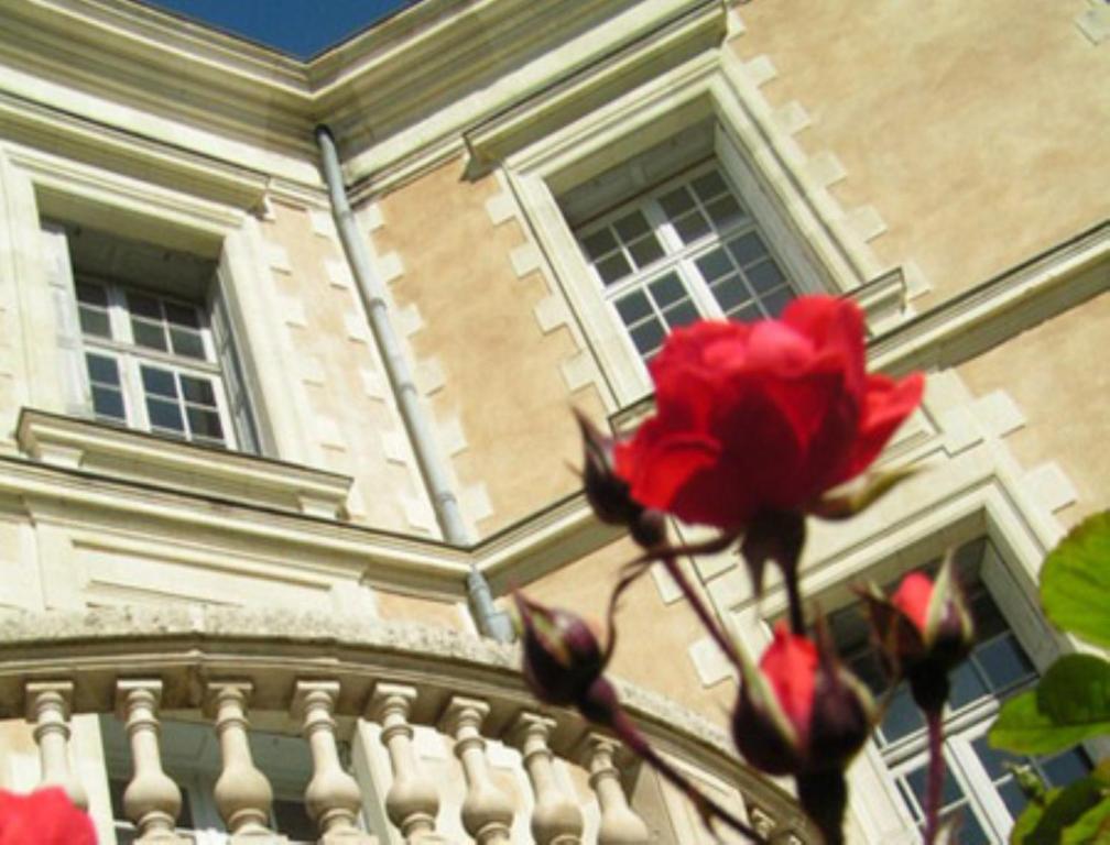 Chateau De La Haye Bed & Breakfast Contigne Bagian luar foto