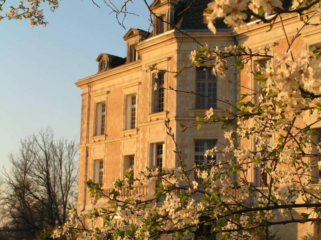 Chateau De La Haye Bed & Breakfast Contigne Bagian luar foto